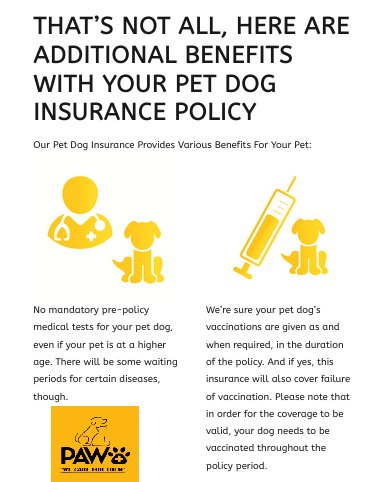 dog health insurance 2021 09 27 12 07 07 - 3 Factors to Choose the Best Pet Dog Insurance Cover